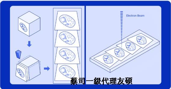 云浮蔡司云浮扫描电镜