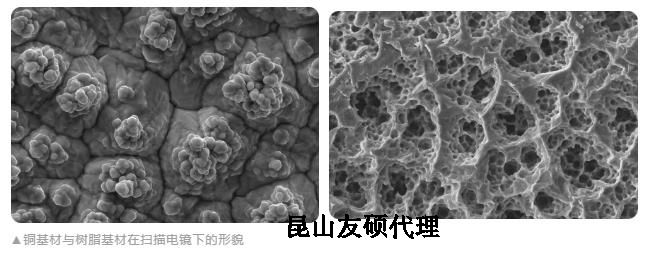 云浮蔡司云浮扫描电镜